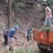 Fiscalização à limpeza dos terrenos inicia-se hoje