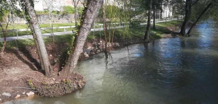 Limpeza nas margens do Rio Lis criticada pela Oikos