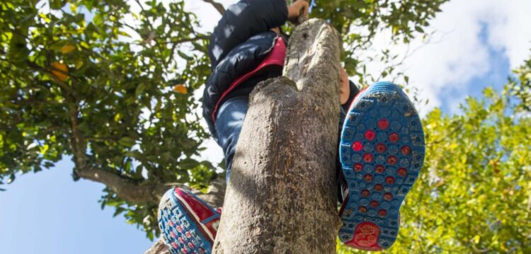 Férias: alegria dos mais novos, dor de cabeça para os pais