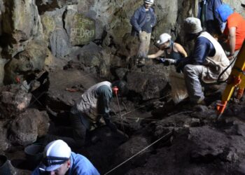 Gravuras rupestres descobertas em gruta da serra de Alvaiázere