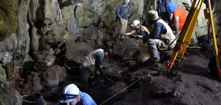 Gravuras rupestres descobertas em gruta da serra de Alvaiázere