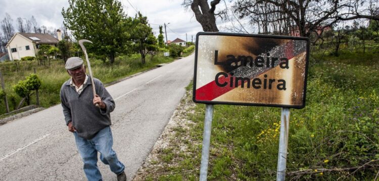 Maioria das estruturas municipais por concluir