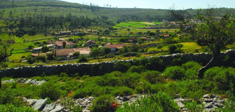 Peregrinos de Fátima poderão ter caminho complementar em Porto de Mós