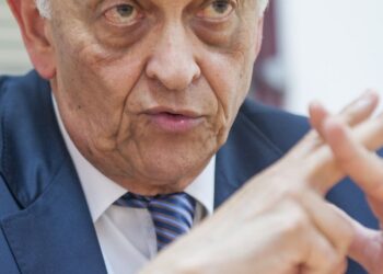 Entrevista | António Frias Marques:“A Baixa Pombalina parece a Disneylândia”