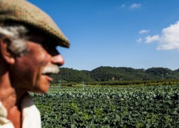 Produção atrasada e mais custos. Agricultores à espera do Verão