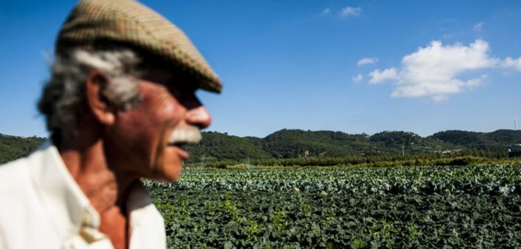 Produção atrasada e mais custos. Agricultores à espera do Verão