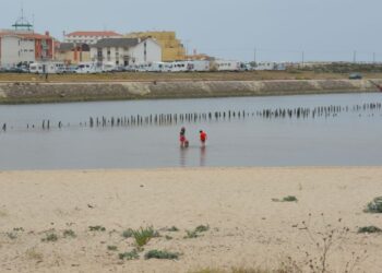 Águas junto à foz do rio Lis na Marinha Grande são impróprias para banhos