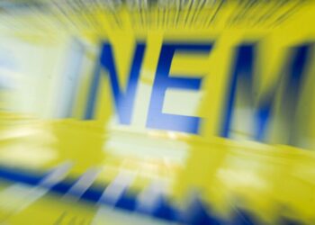 Estudante de enfermagem morre durante corte de árvore em Ansião