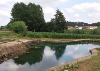 PSD pede valorização de piscina natural na Caranguejeira
