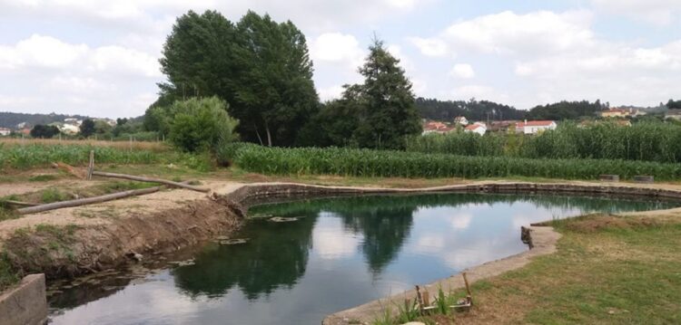 PSD pede valorização de piscina natural na Caranguejeira