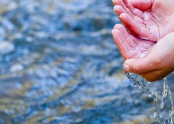 Vai viajar com muito calor? Coma nozes, amêndoas, amendoins, pinhões e avelãs