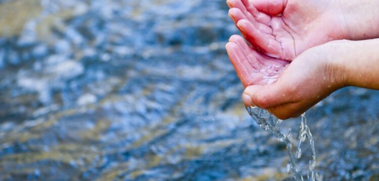 Vai viajar com muito calor? Coma nozes, amêndoas, amendoins, pinhões e avelãs