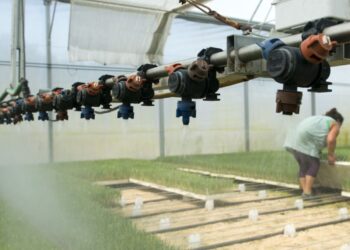 Entre drones e tractores robot, IPLeiria vai ter quinta inteligente