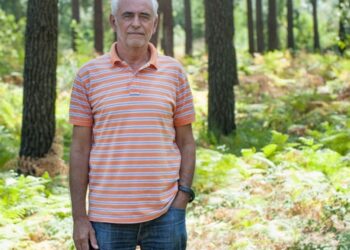 Entrevista | Octávio Ferreira: “É o primeiro aceiro onde se podia fazer alguma coisa, com o fogo de Sul para Norte. Só que não estava limpo”