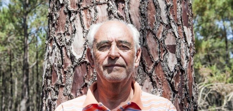 Entrevista | Octávio Ferreira: “Todos que tendo a possibilidade de afectar recursos não os afectaram são responsáveis”
