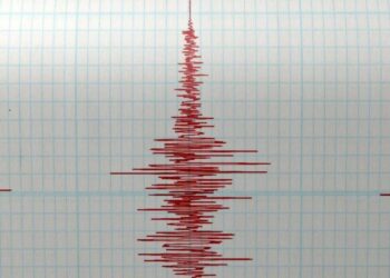 Sentiu o sismo que esta manhã atingiu a região?