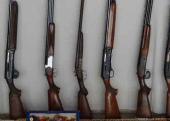 Suspeito de violência doméstica apanhado com 14 armas