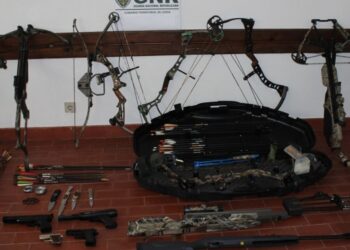 Suspeito de violência doméstica identificado na posse de armas