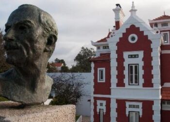 Dez anos de um Casulo em metamorfose