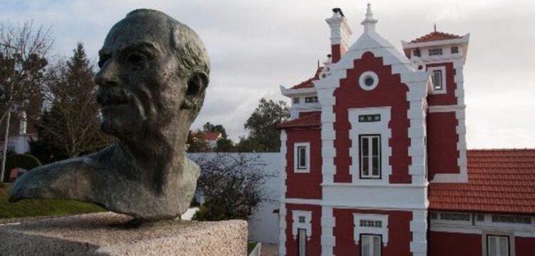Dez anos de um Casulo em metamorfose