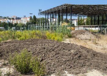 Estrume a céu aberto há mais de um mês junto aos campos de ténis de Leiria