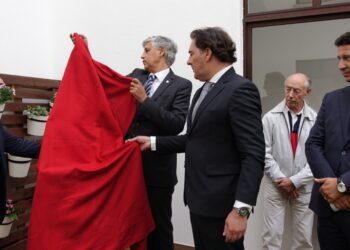 Misericórdia de Fátima abre centro de dia para doentes de Alzheimer
