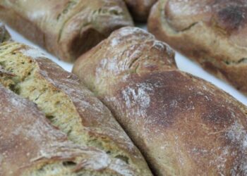 Pão de medronho chega ao mercado até Junho de 2019