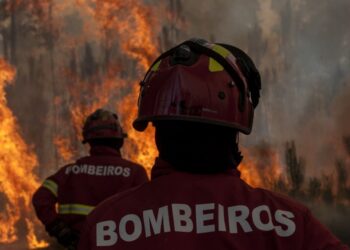 PJ detém suspeito de incêndio na Marinha Grande
