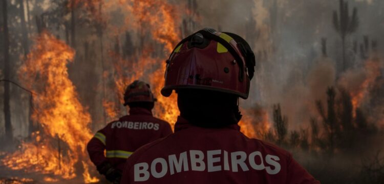 PJ detém suspeito de incêndio na Marinha Grande
