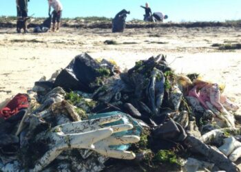 Brigada do Mar já tirou 450 toneladas de lixo das praias