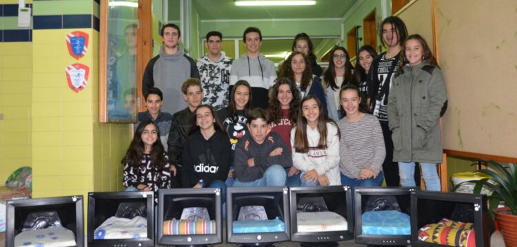 Alunos da Carreira reciclam computadores para dar abrigo a gatos