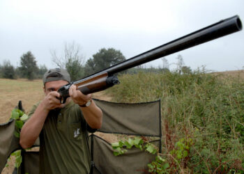 Nova lei pode aumentar restrições à posse de armas de fogo
