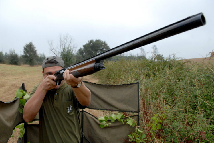 Nova lei pode aumentar restrições à posse de armas de fogo