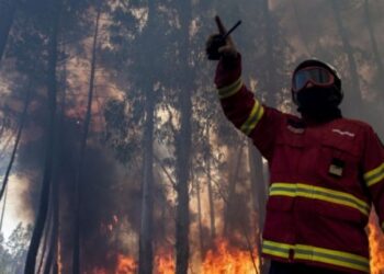 PJ de Leiria detém suspeita de atear vários incêndios em Ourém