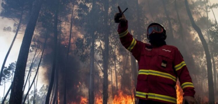 PJ de Leiria detém suspeita de atear vários incêndios em Ourém