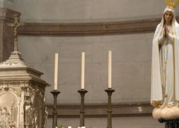 D. António Marto acredita que jornadas da juventude vão revitalizar Igreja portuguesa