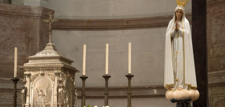D. António Marto acredita que jornadas da juventude vão revitalizar Igreja portuguesa