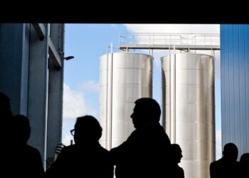 Indumape vai produzir sumo concentrado de maça biológica
