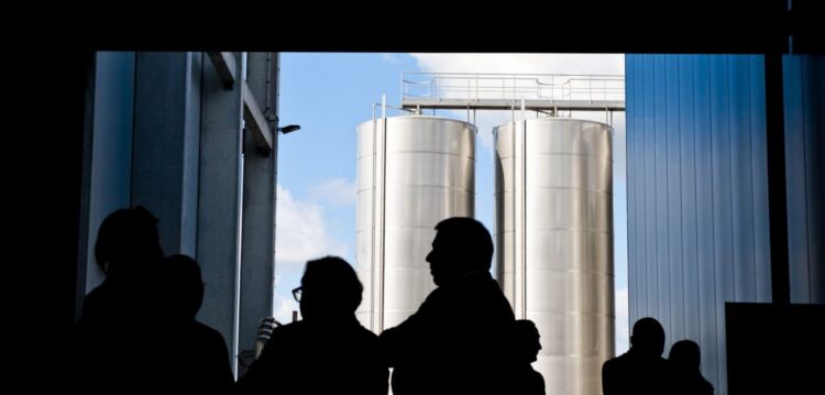 Indumape vai produzir sumo concentrado de maça biológica