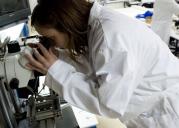 Investigadores do Politécnico de Leiria querem optimizar processo de obtenção de mel em pó