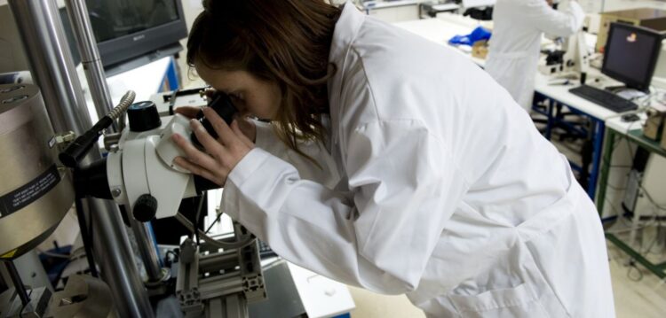 Investigadores do Politécnico de Leiria querem optimizar processo de obtenção de mel em pó