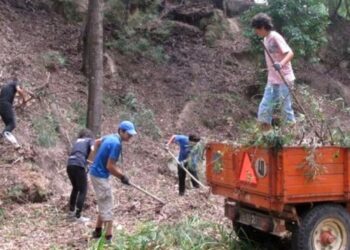 Marinha Grande: limpeza de terrenos obrigatória até 15 de Março