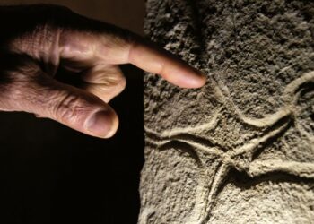 Projecto de valorização do património geológico do Parque Natural das Serras de Aire e Candeeiros aprovado em Conselho de Ministros
