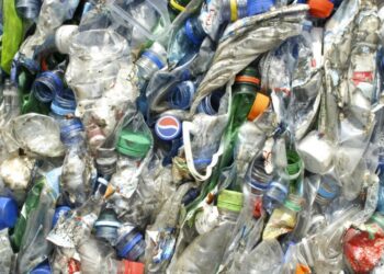 Reciclagem na região atinge segundo valor mais alto de sempre