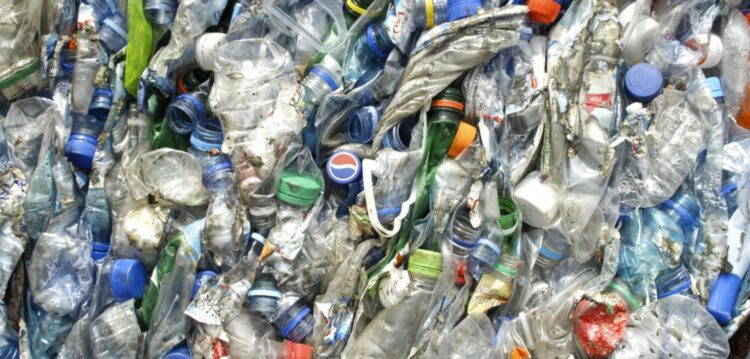Reciclagem na região atinge segundo valor mais alto de sempre