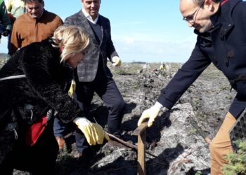Pinhal de Leiria recebe 5,9 milhões de euros até 2022