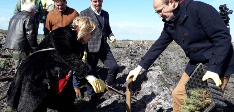 Pinhal de Leiria recebe 5,9 milhões de euros até 2022