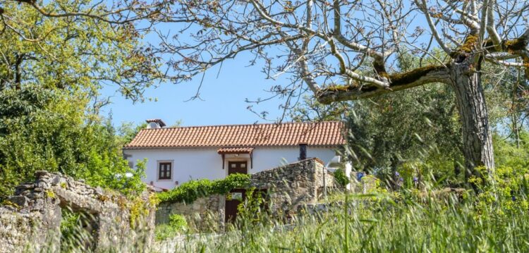 Aldeia do Vale, um refúgio às portas de Pombal