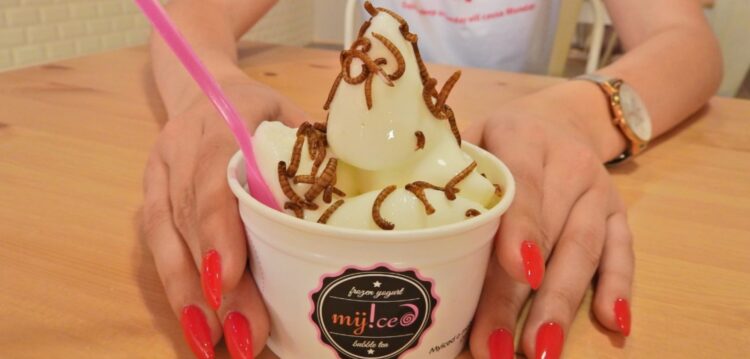 Apetece-lhe algo “exótico”? MyIced propõe gelado com cobertura de larvas