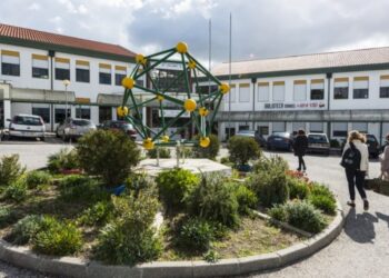 Colmeias organiza caminhada pela consciencialização do autismo